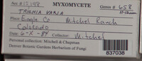 Image Associated With the Occurence